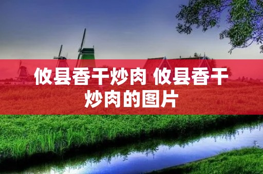 攸县香干炒肉 攸县香干炒肉的图片