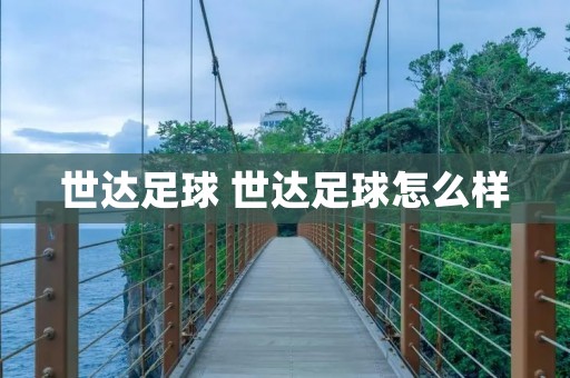 世达足球 世达足球怎么样 世达足球 世达足球怎么样