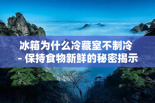 冰箱为什么冷藏室不制冷 - 保持食物新鲜的秘密揭示