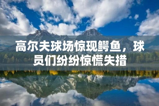 高尔夫球场惊现鳄鱼,球员们纷纷惊慌失措 高尔夫球场惊现鳄鱼,球员们纷纷惊慌失措