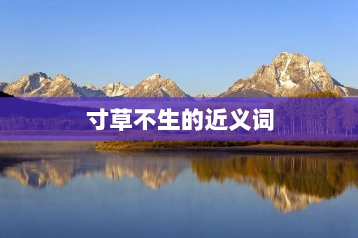 寸草不生的近义词:荒芜一片、一片荒凉、一片废墟、无生命的土地、死寂之地、寸草不生之地。