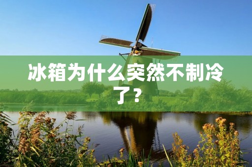 冰箱为什么突然不制冷了？