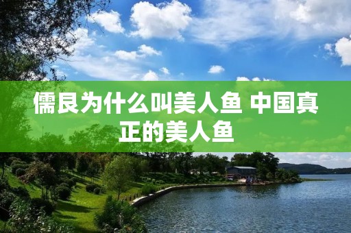 儒艮为什么叫美人鱼 中国真正的美人鱼