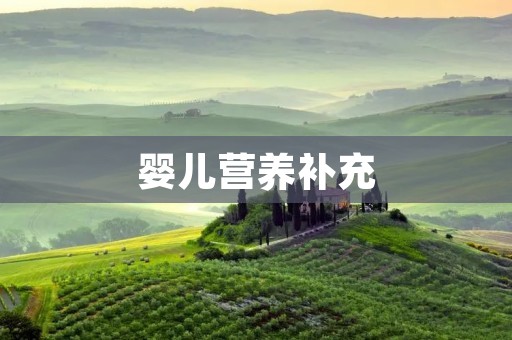 婴儿营养补充:关注宝宝的健康成长