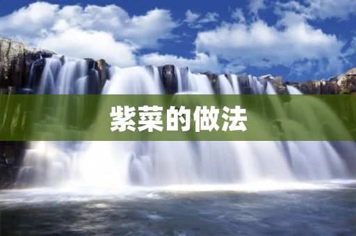 紫菜的做法：健康美味的佳肴
