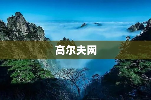 高尔夫网：为高尔夫爱好者提供全方位的信息和服务