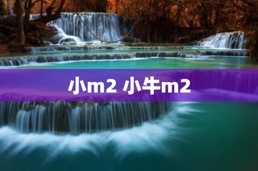小m2 小牛m2