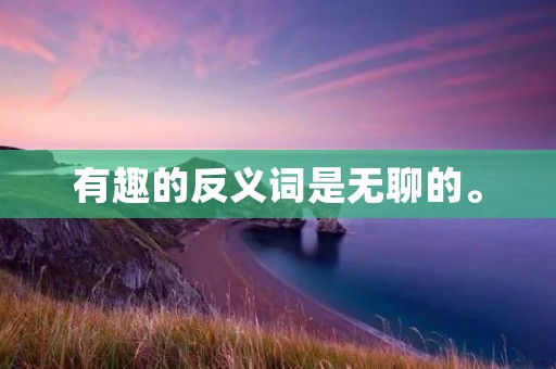 有趣的反义词是无聊的。