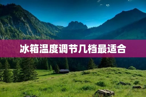 冰箱温度调节几档最适合