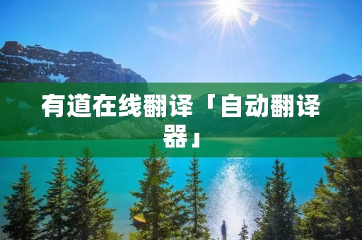 有道在线翻译「自动翻译器」