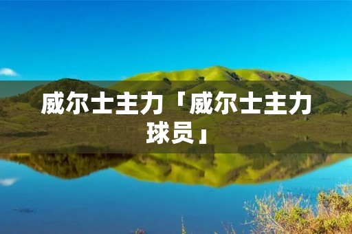 威尔士主力「威尔士主力球员」