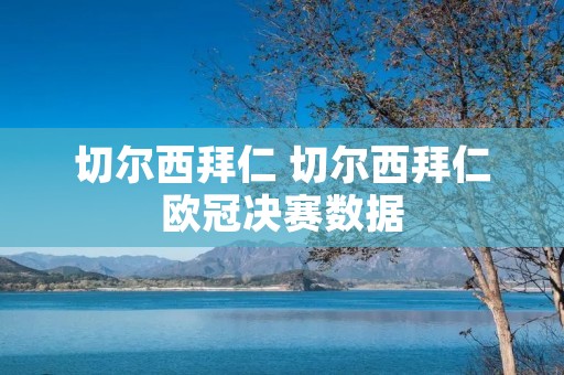 切尔西拜仁 切尔西拜仁欧冠决赛数据