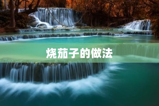 烧茄子的做法：用简单材料制作美味茄子佳肴