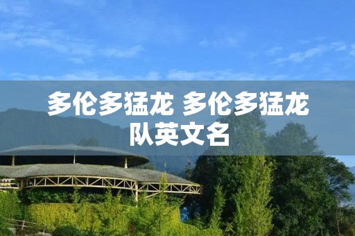 多伦多猛龙 多伦多猛龙队英文名 多伦多猛龙 多伦多猛龙队英文名
