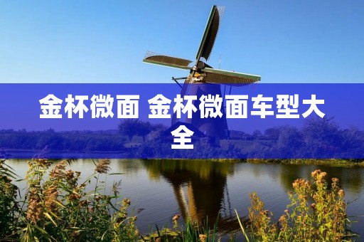 金杯微面 金杯微面车型大全