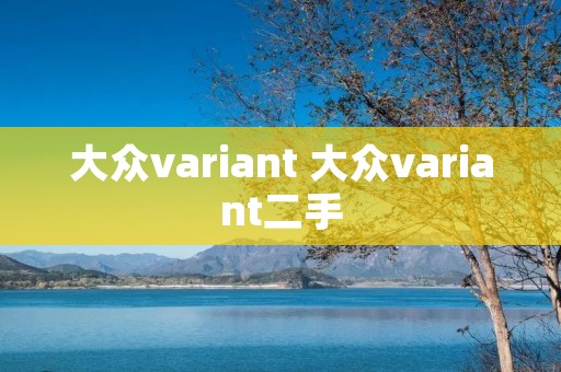 大众variant 大众variant二手 大众variant 大众variant二手