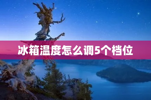 冰箱温度怎么调5个档位