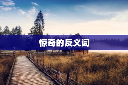 惊奇的反义词:平凡的日常