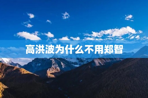 高洪波为什么不用郑智 高洪波为什么不用郑智