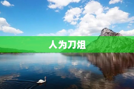 人为刀俎:探索人类在科技发展中的角色与责任 人为刀俎:探索人类在科技发展中的角色与责任