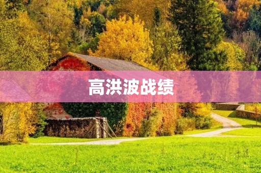 高洪波战绩：中国足球的起伏与反思