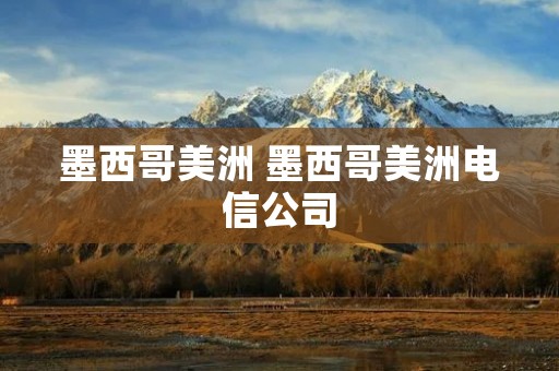 墨西哥美洲 墨西哥美洲电信公司