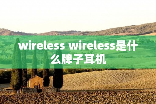 wireless wireless是什么牌子耳机