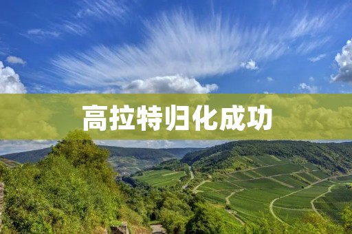 高拉特归化成功：中国足球的新希望