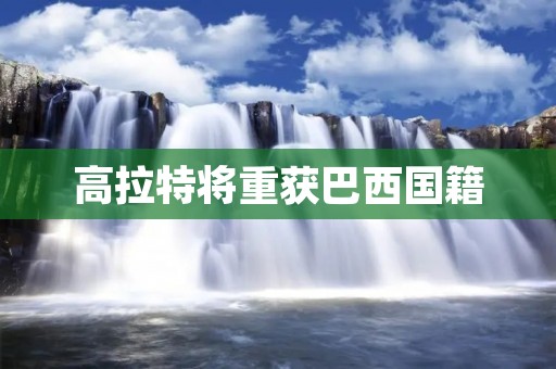 高拉特将重获巴西国籍 高拉特将重获巴西国籍