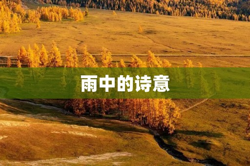 雨中的诗意