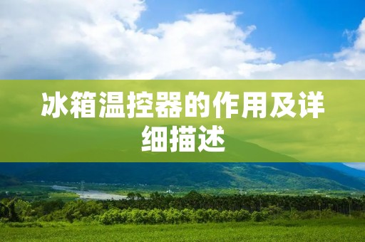 冰箱温控器的作用及详细描述 冰箱温控器的作用及详细描述