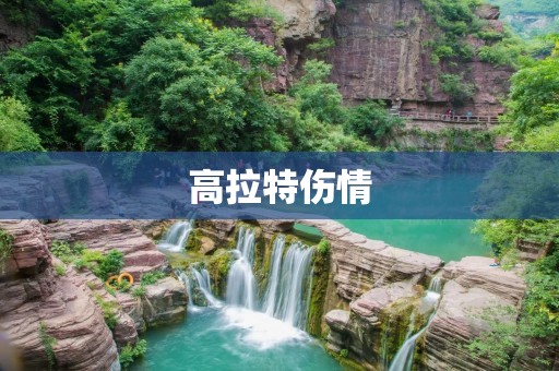 高拉特伤情：一个令人心碎的故事