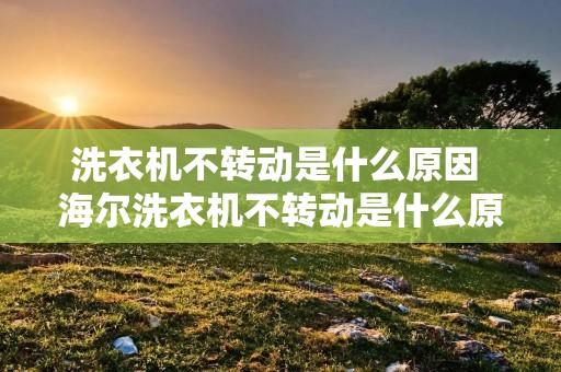 洗衣机不转动是什么原因 海尔洗衣机不转动是什么原因