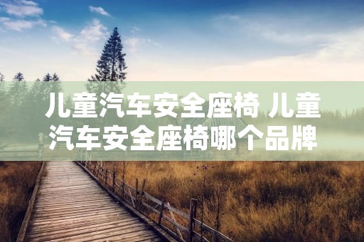 儿童汽车安全座椅 儿童汽车安全座椅哪个品牌好