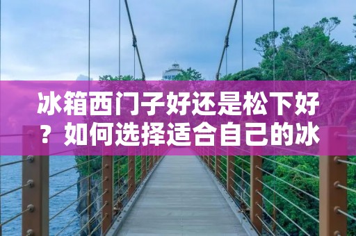 冰箱西门子好还是松下好?如何选择适合自己的冰箱? 冰箱西门子好还是松下好?如何选择适合自己的冰箱?