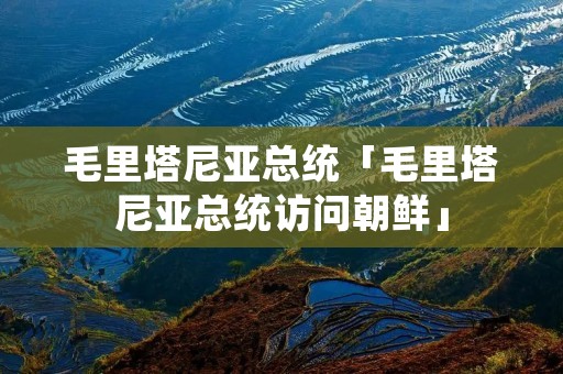 毛里塔尼亚总统「毛里塔尼亚总统访问朝鲜」