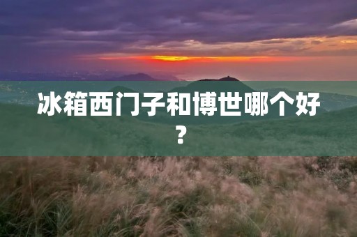 冰箱西门子和博世哪个好？