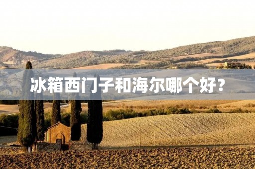 冰箱西门子和海尔哪个好? 冰箱西门子和海尔哪个好?