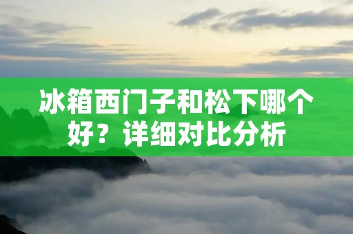 冰箱西门子和松下哪个好?详细对比分析 冰箱西门子和松下哪个好?详细对比分析