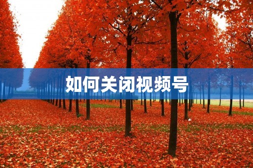 如何关闭视频号 如何关闭视频号