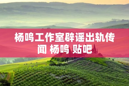 杨鸣工作室辟谣出轨传闻 杨鸣 贴吧