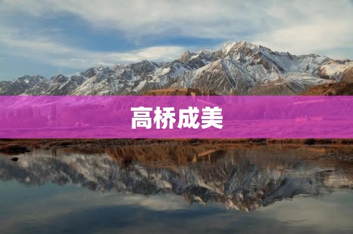 高桥成美：才华横溢的日本作家及其作品