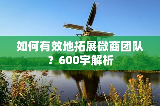 如何有效地拓展微商团队?600字解析 如何有效地拓展微商团队?600字解析