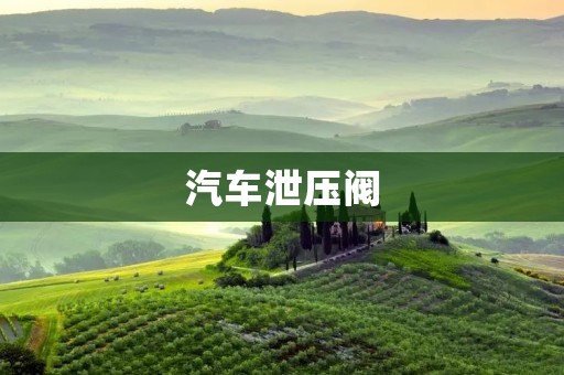 汽车泄压阀：功能、原理及选购指南