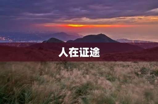 人在证途:探寻人生的真谛与意义