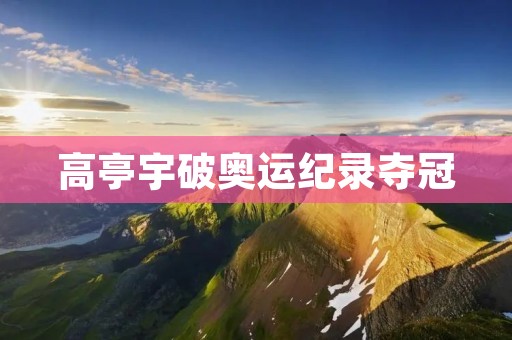 高亭宇破奥运纪录夺冠:创造历史的壮举 高亭宇破奥运纪录夺冠:创造历史的壮举
