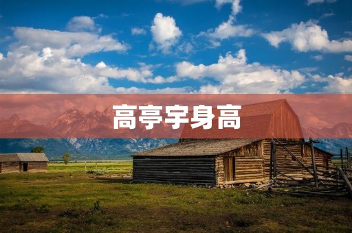 高亭宇身高：突显个人魅力与自信的身体优势