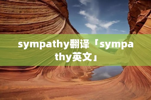 sympathy翻译「sympathy英文」