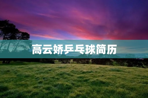 高云娇乒乓球简历