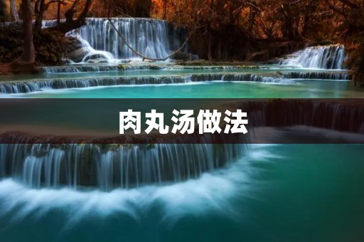肉丸汤做法:美味可口的家常汤品 肉丸汤做法:美味可口的家常汤品